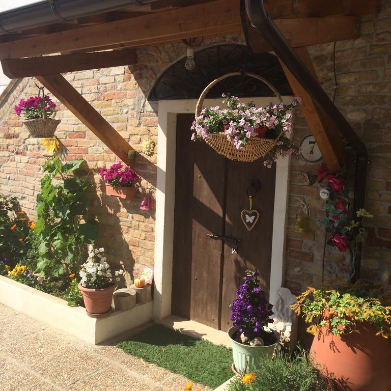 B&B La Casa in Campagna Collecorvino Esterno foto